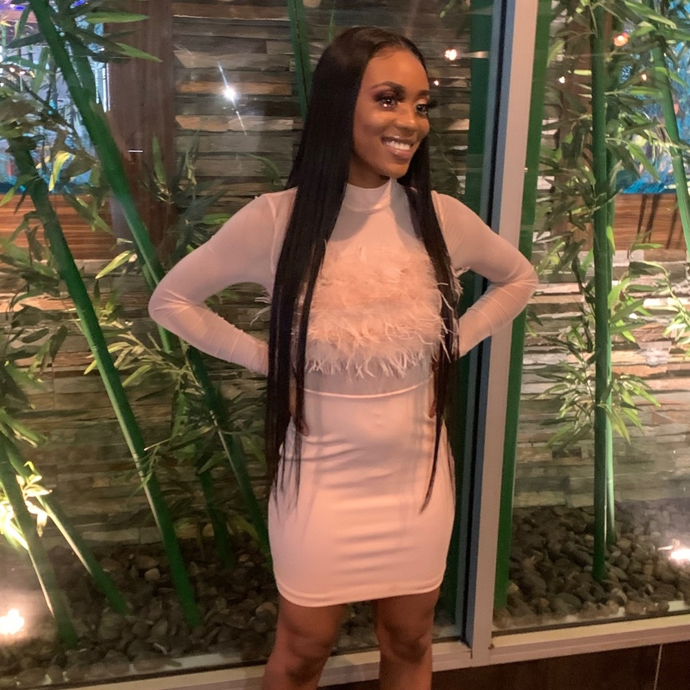 Sheer Pink Fashion Nova Feathered Dress. Worn once!
